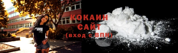 прущие грибы Новозыбков
