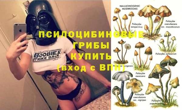 крисы Няндома