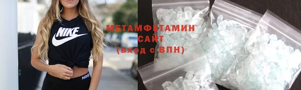 прущие грибы Новозыбков