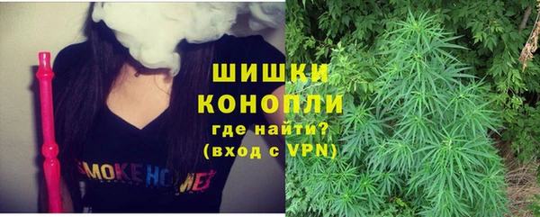 крисы Няндома