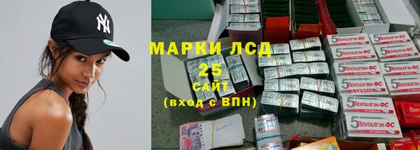 крисы Няндома