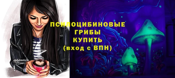 прущие грибы Новозыбков