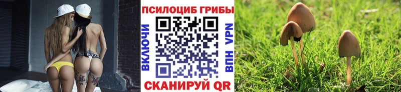 купить  сайты  Мегион  Галлюциногенные грибы прущие грибы 