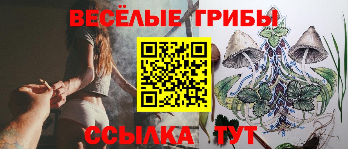 Галлюциногенные грибы мицелий  Вход с VPN  закладки  Мегион 