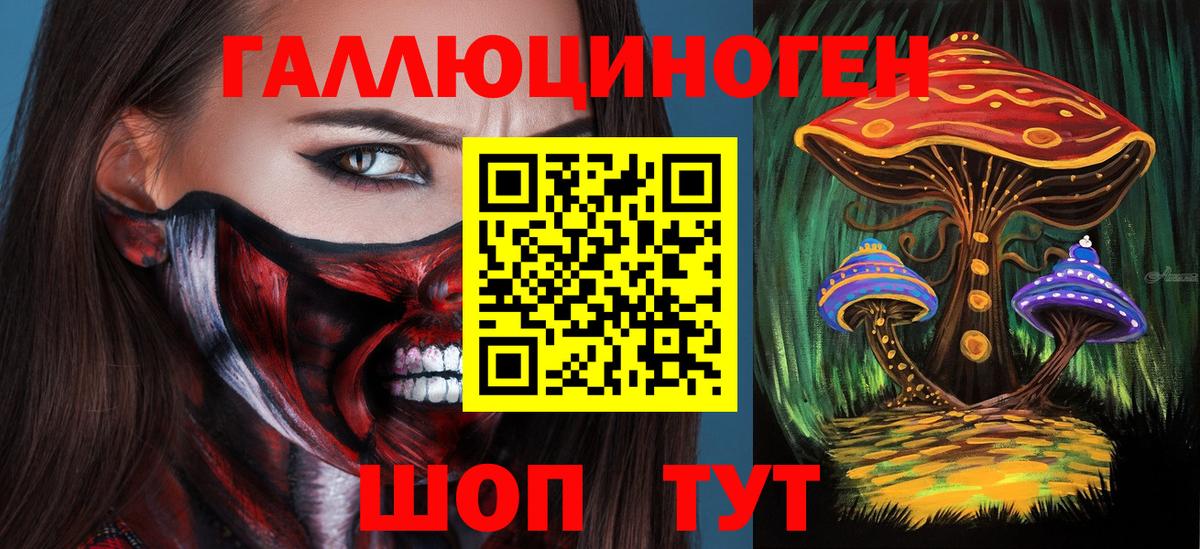 Псилоцибиновые грибы Cubensis Мегион