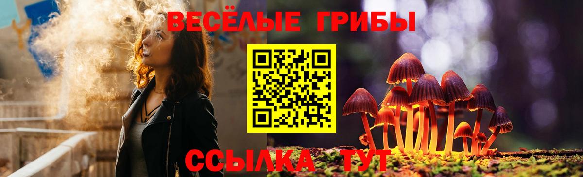 Галлюциногенные грибы Psilocybe  Галлюциногенные грибы MAGIC MUSHROOMS  Мегион 